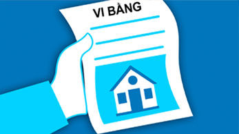 Vi Bằng Là Gì?